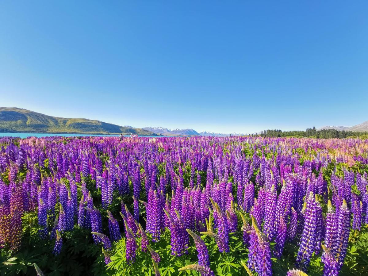 Skyrim Lodge Lake Tekapo Exteriör bild